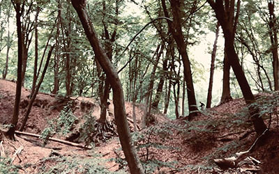 Stage 5