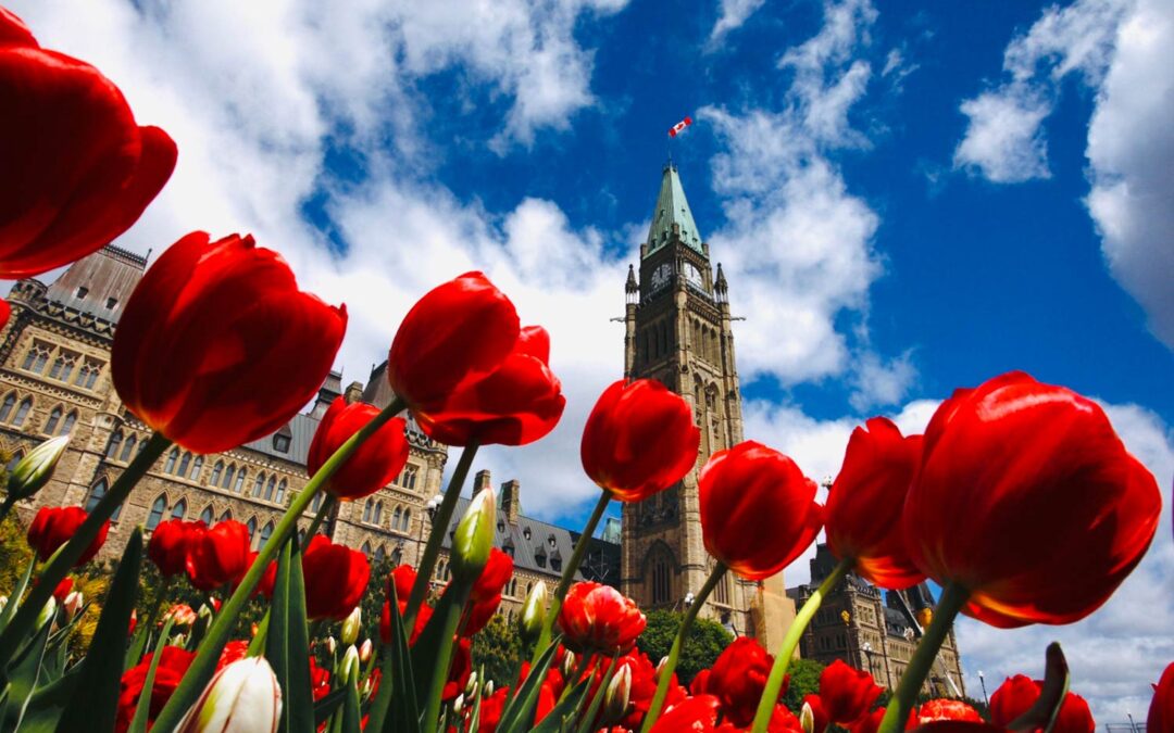 CELEBRATING 80 YEARS OF GRATITUDE 🌷🇨🇦🇳🇱