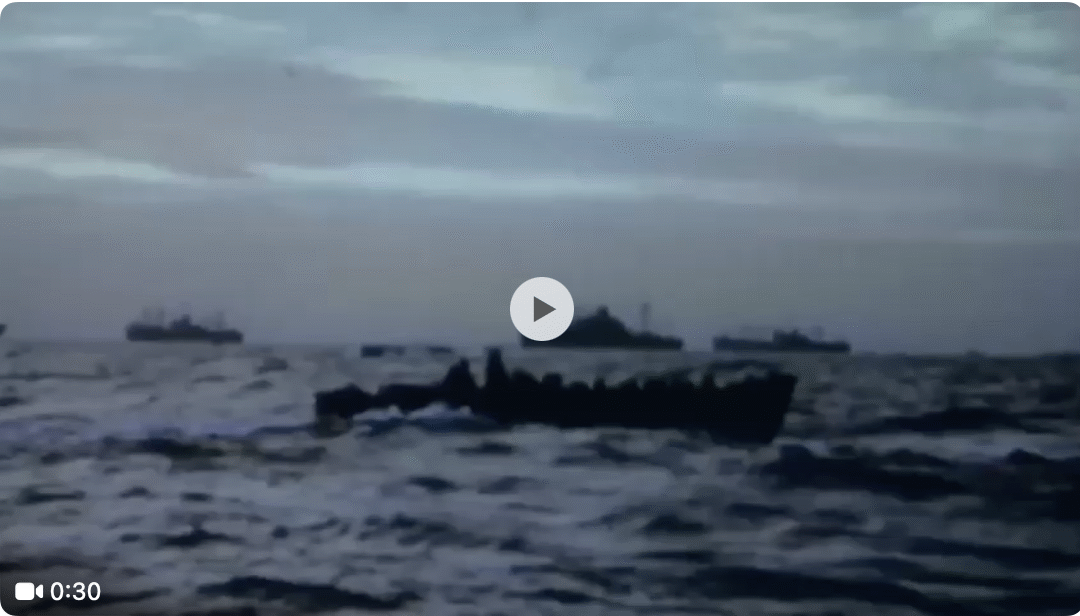 80 Years of Freedom: Reflecting on D-Day and the Liberation of Western Europe (1944 – 2024)